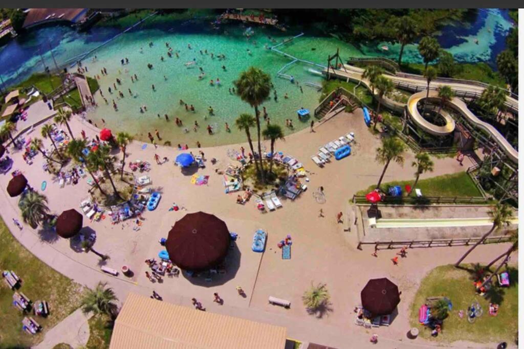 Manatee Oasis Weeki Wachee Family Fun Pool Home Spring Hill Εξωτερικό φωτογραφία