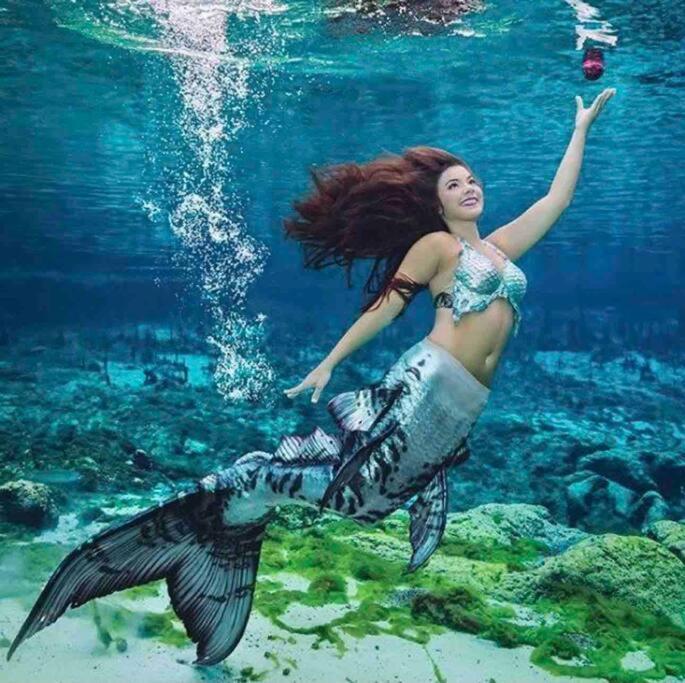 Manatee Oasis Weeki Wachee Family Fun Pool Home Spring Hill Εξωτερικό φωτογραφία