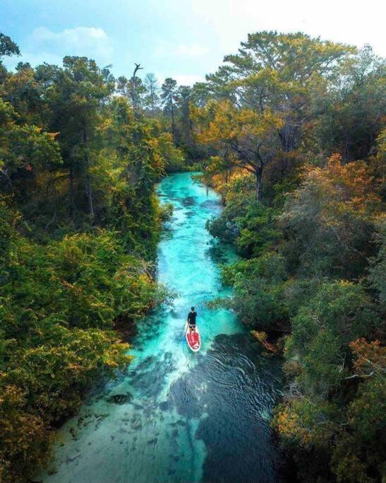 Manatee Oasis Weeki Wachee Family Fun Pool Home Spring Hill Εξωτερικό φωτογραφία