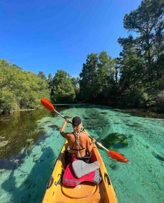 Manatee Oasis Weeki Wachee Family Fun Pool Home Spring Hill Εξωτερικό φωτογραφία