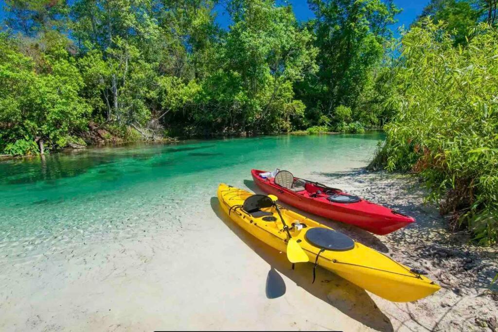 Manatee Oasis Weeki Wachee Family Fun Pool Home Spring Hill Εξωτερικό φωτογραφία